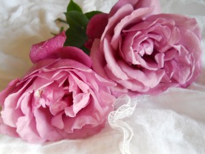DSCN0424