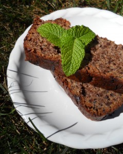 Dark Chocolate Almond Pecan Torte