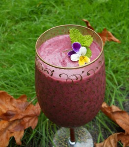 Blueberry Plum Smoothie