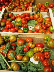 Testaccio Tomato Testaccio Tomato