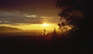 Bellingham, WA