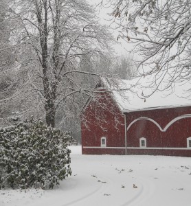 Berthusen Park, Lynden
