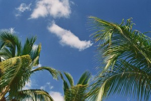 Fiji