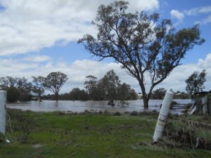 Flooding in Australia