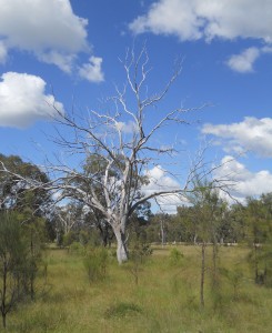 Queensland