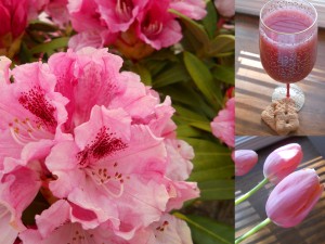 Spring flowers