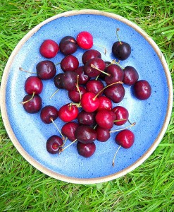 Cherries