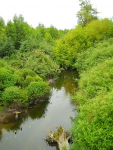 country creek