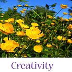 Creativity