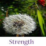 Strength