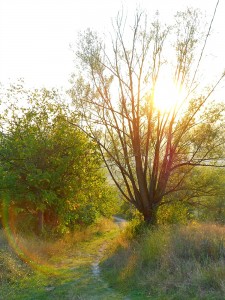 sunset in Italy