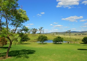 country pond