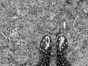 Australia wellies