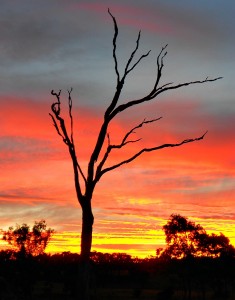 Australian sunset
