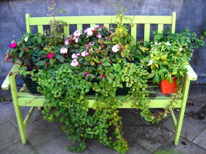 flowered bench