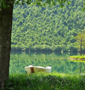 white rowboat