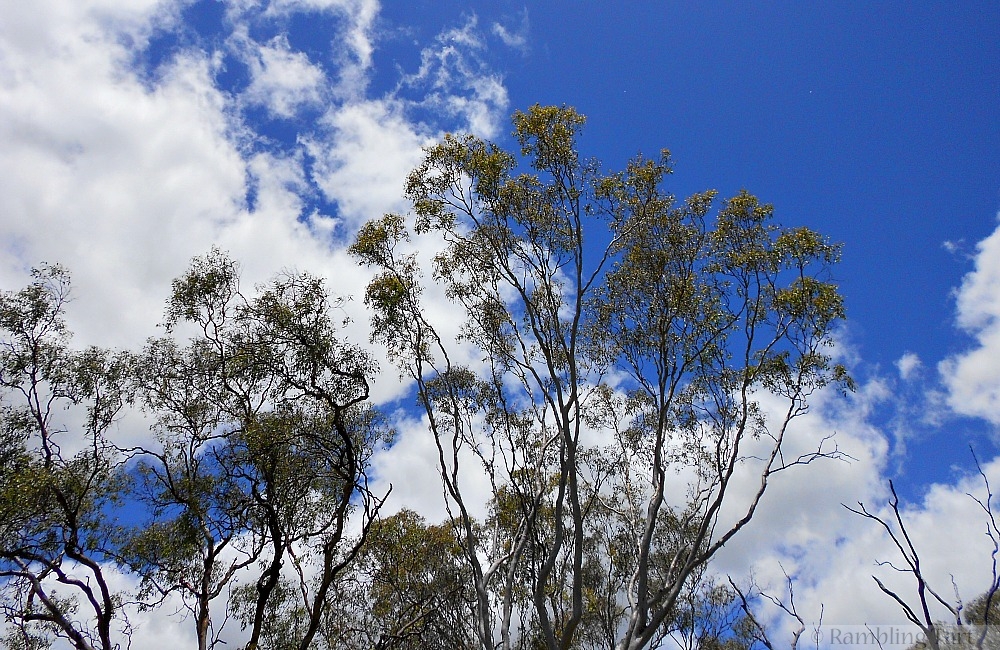 Australian blue sky