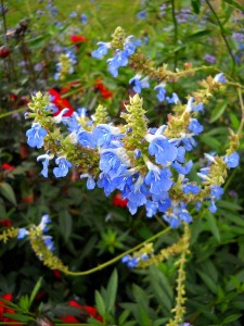 DSCN8046-2