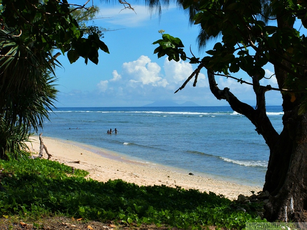 beach on Nguna island