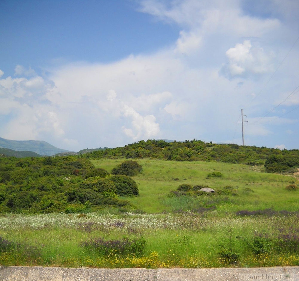 Albanian meadow