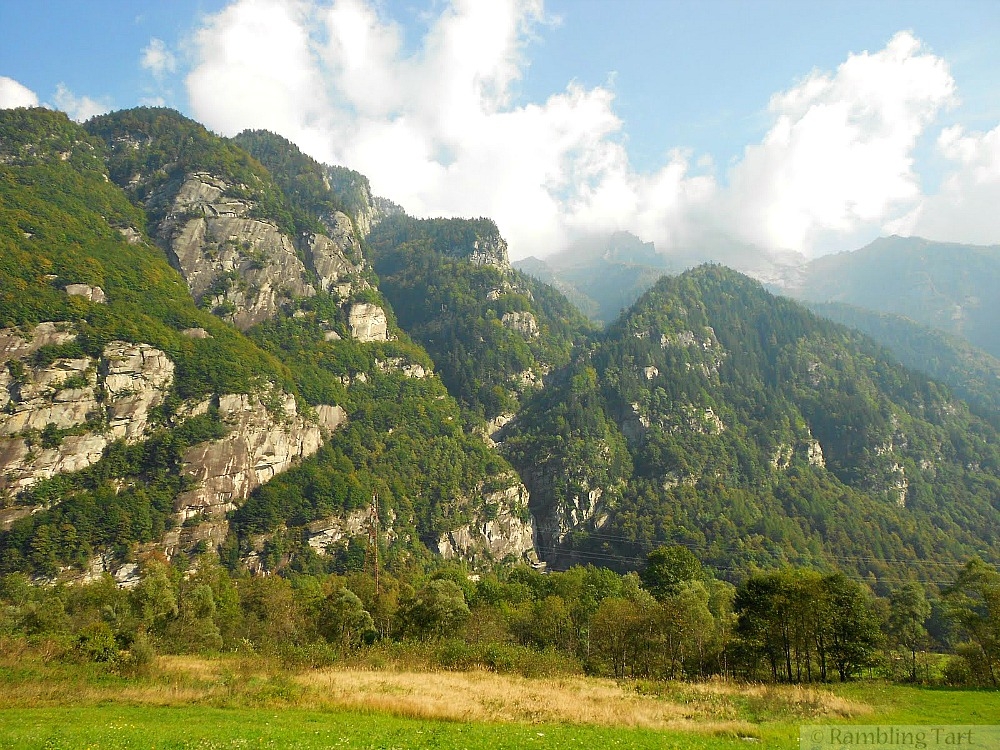 Italian Alps meadow