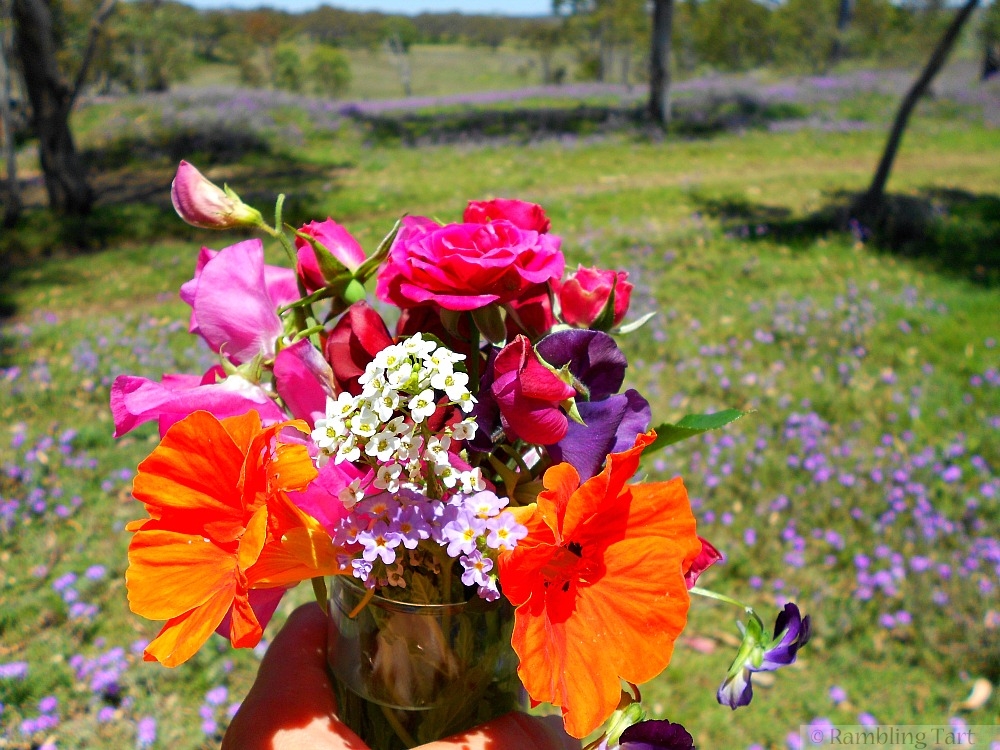 spring flowers