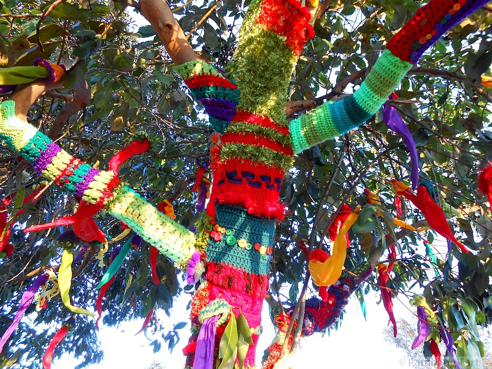 yarn bombed tree