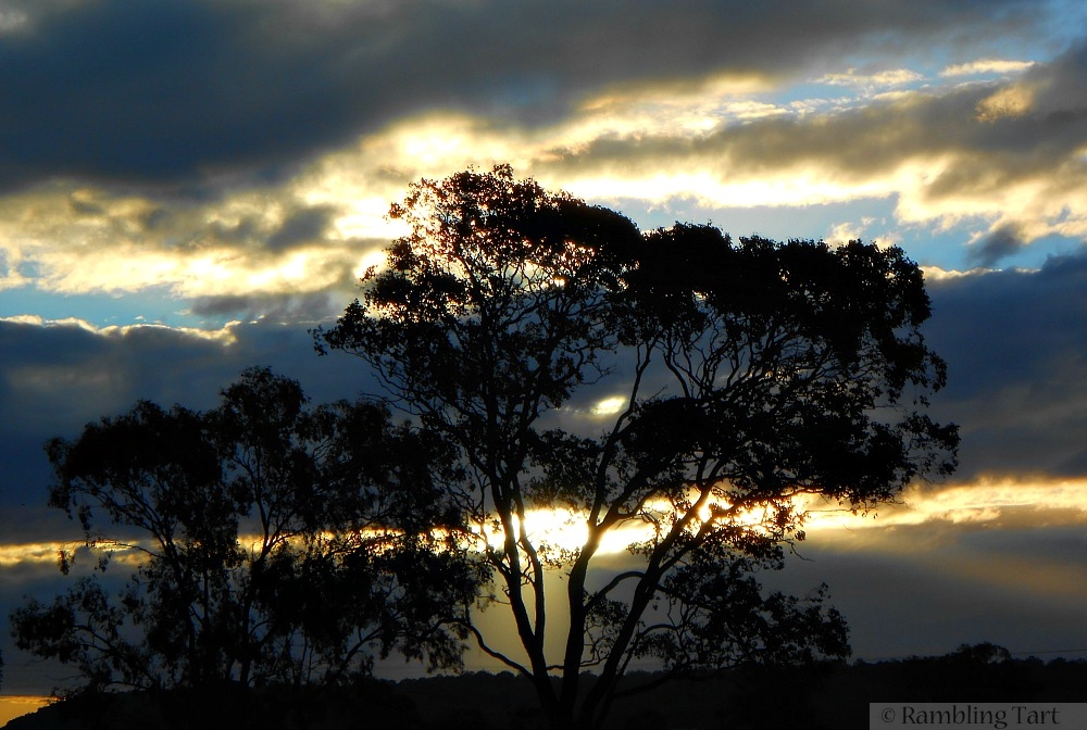 Queensland sky