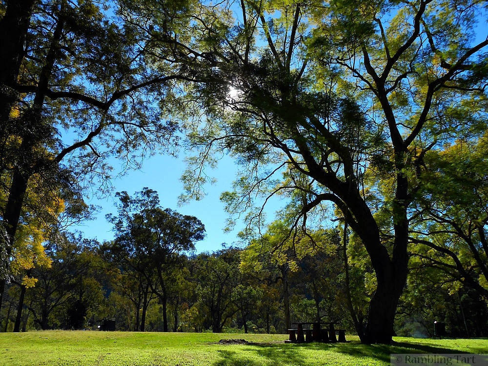 Queensland park