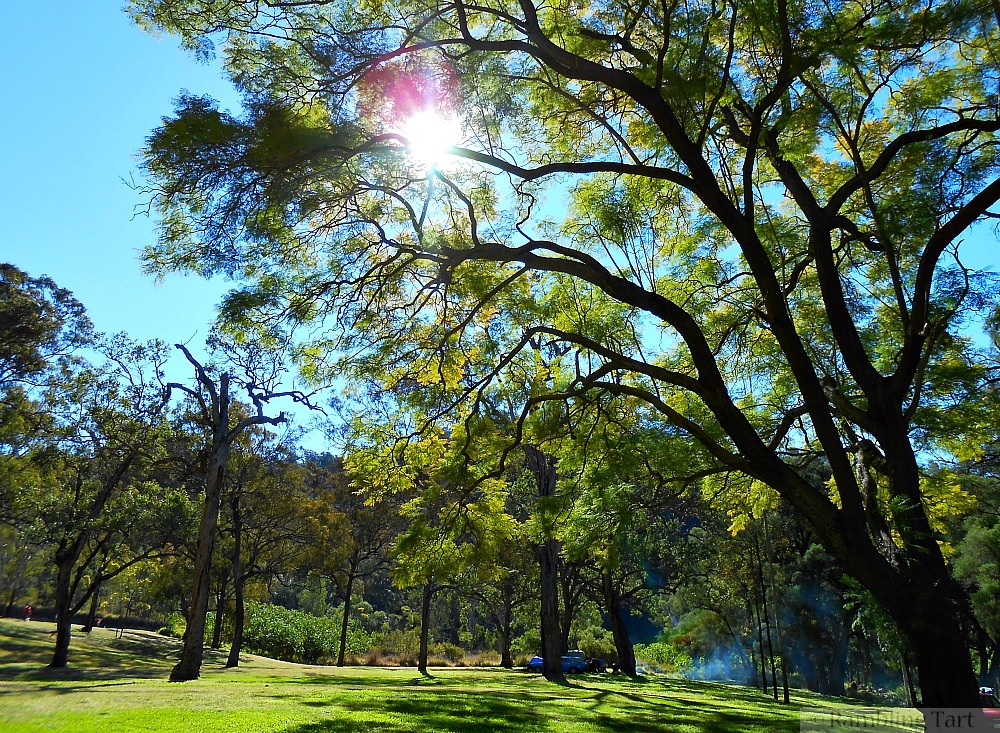 Queensland parks