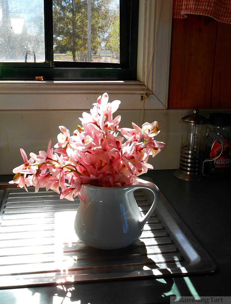 orchids in a white pitcher