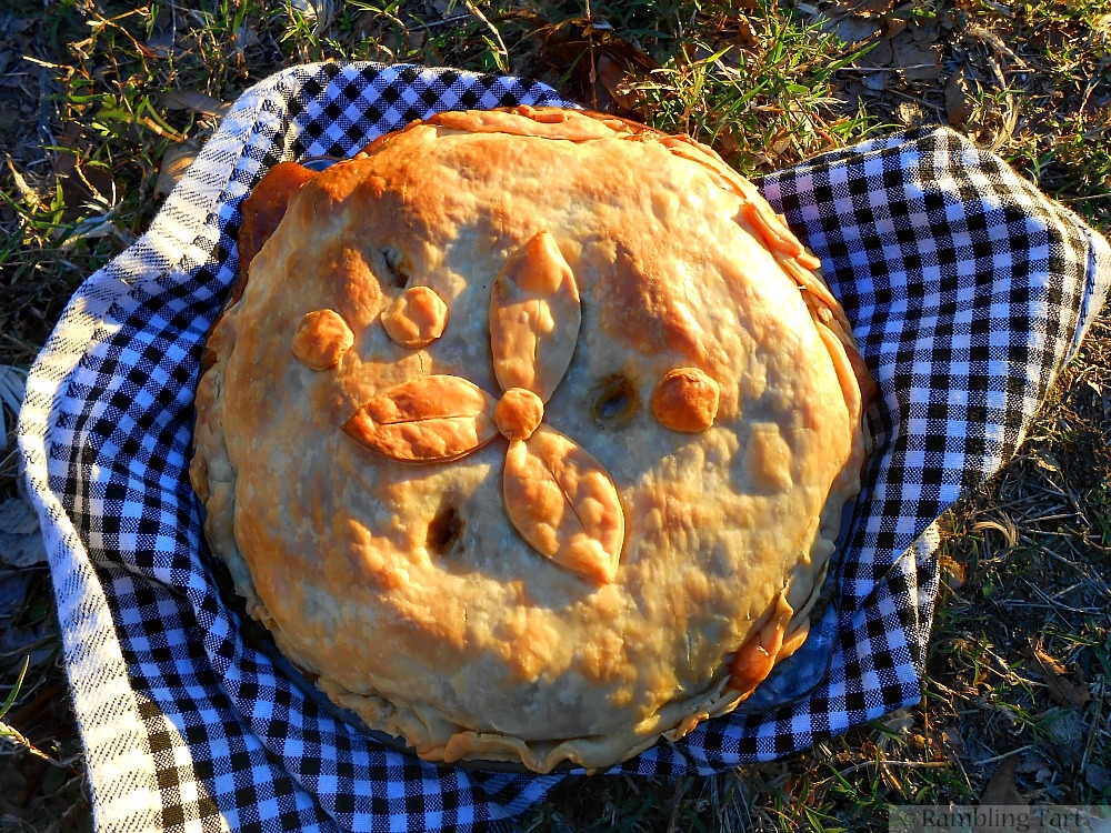 peppered steak pie