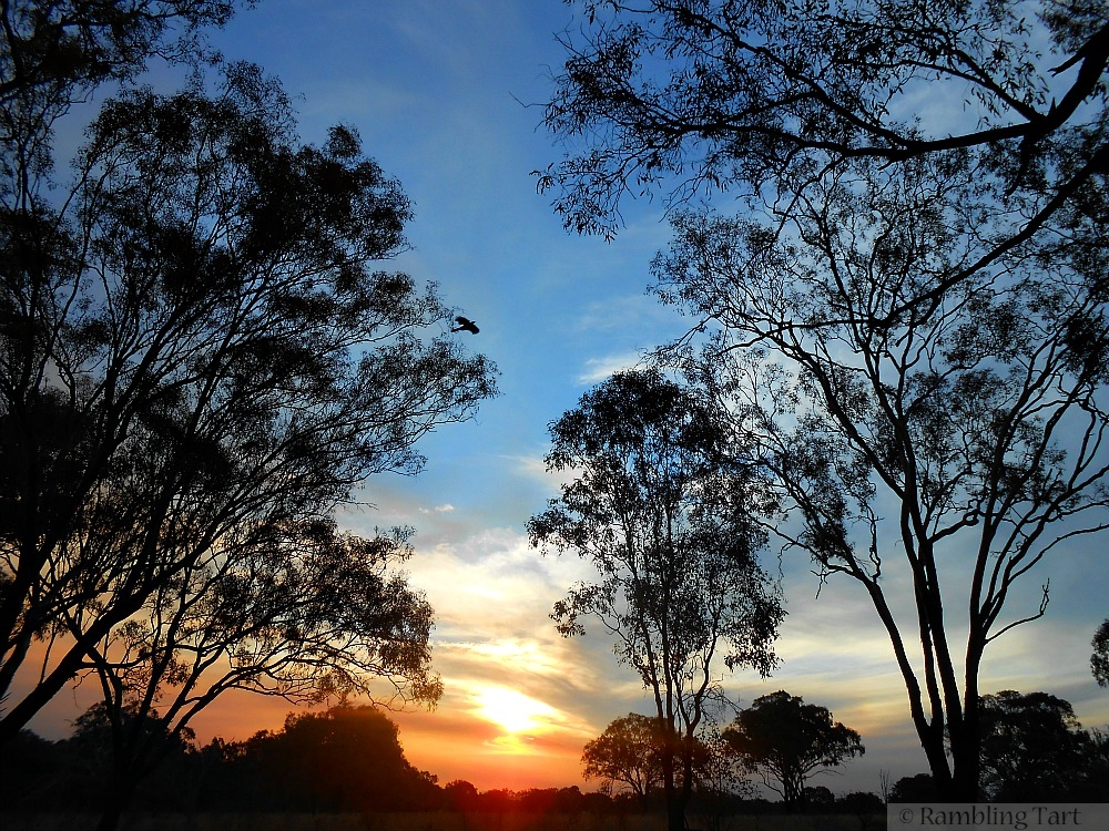 Allora sunset