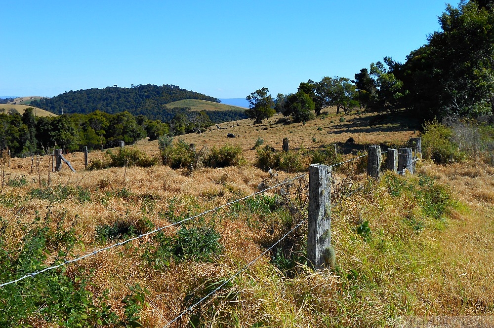 Killarney hills
