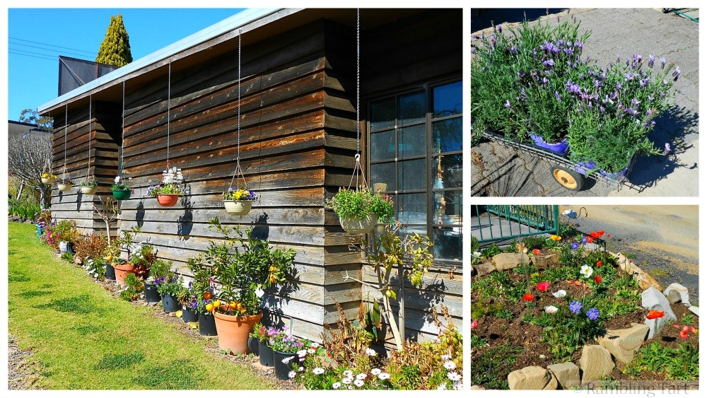 Warwick nursery