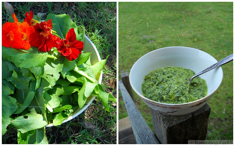 sorrel pesto