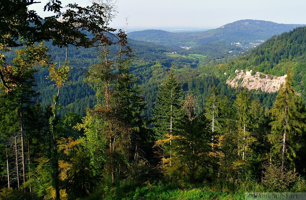Black Forest Germany