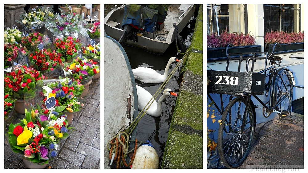 Amsterdam walks