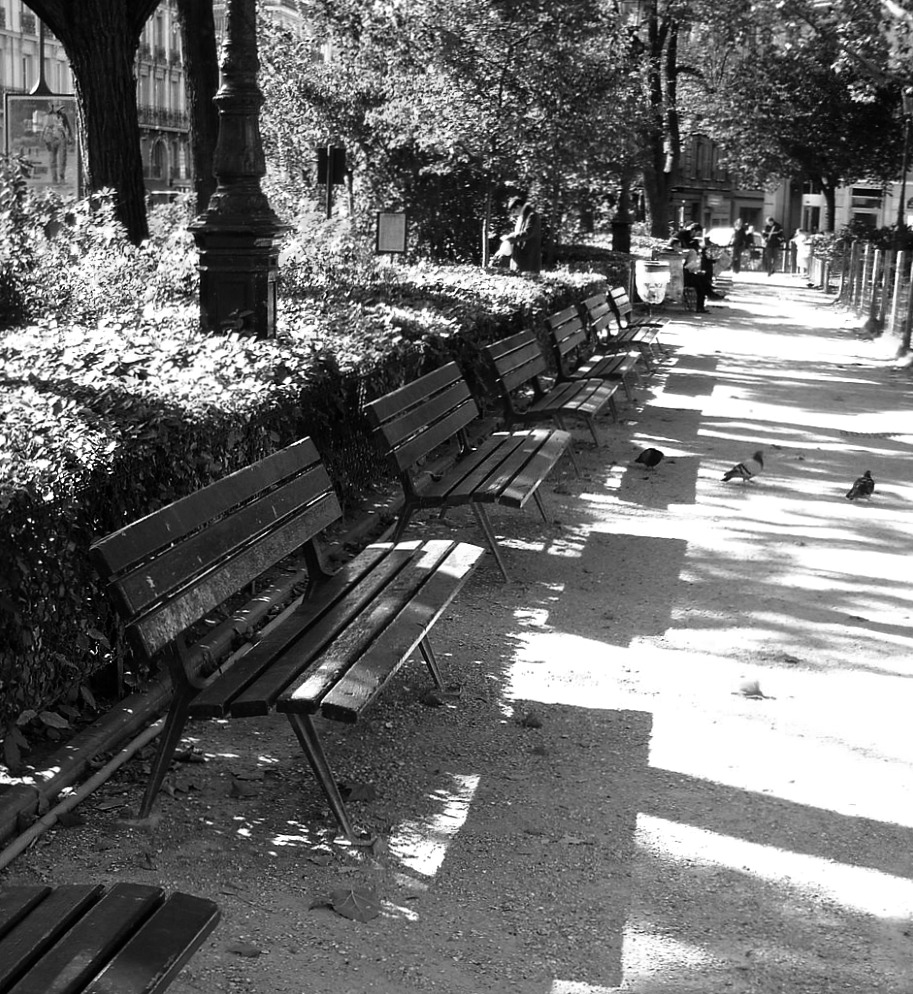 Paris park benches