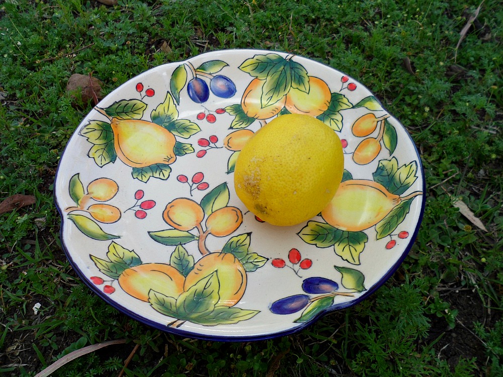 lemon platter
