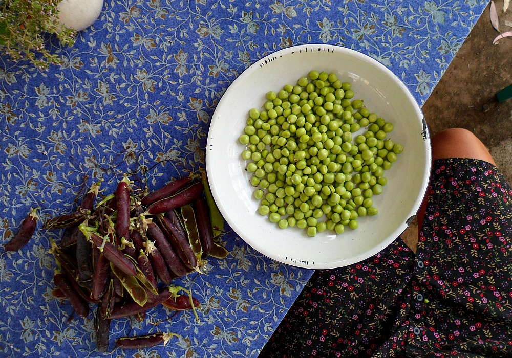 bowl of freshly shelled peas