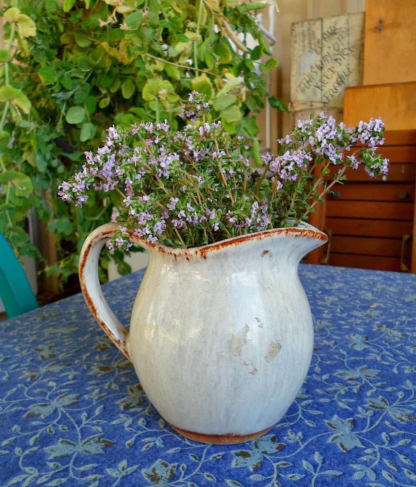 jug of thyme