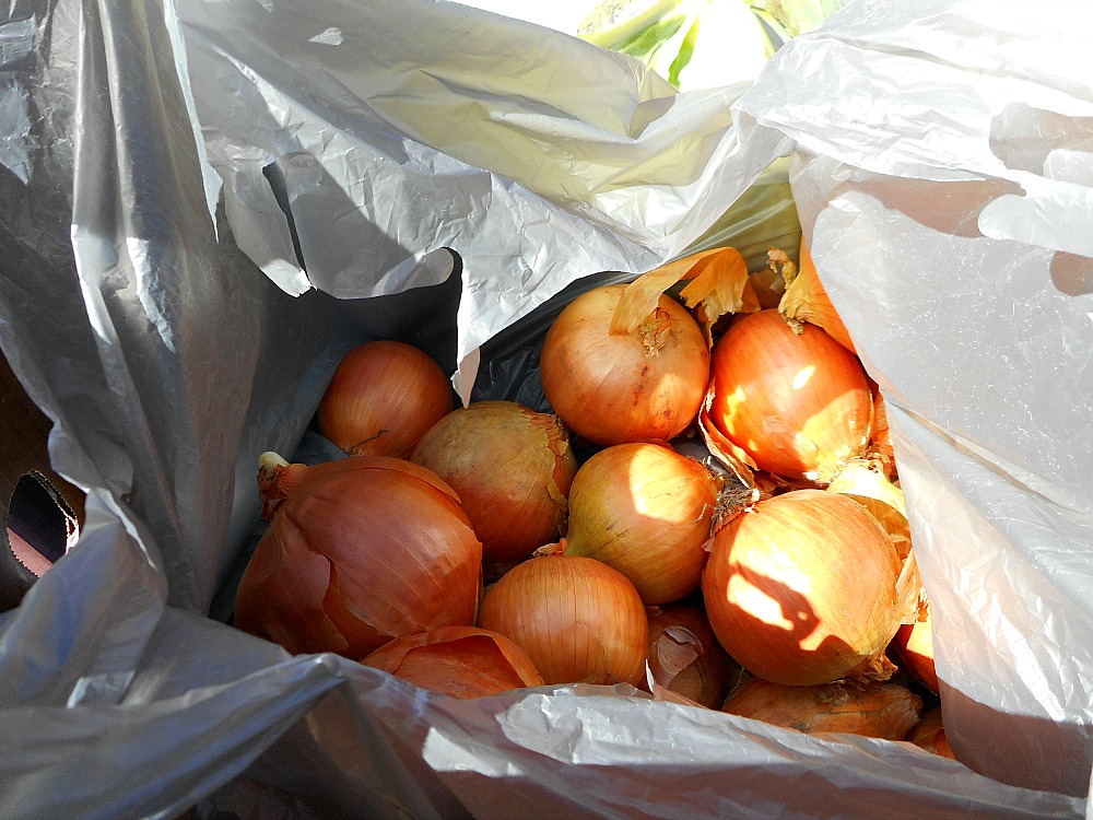 bag of onions