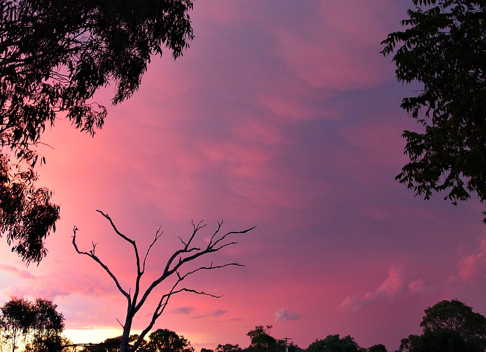 purple sky