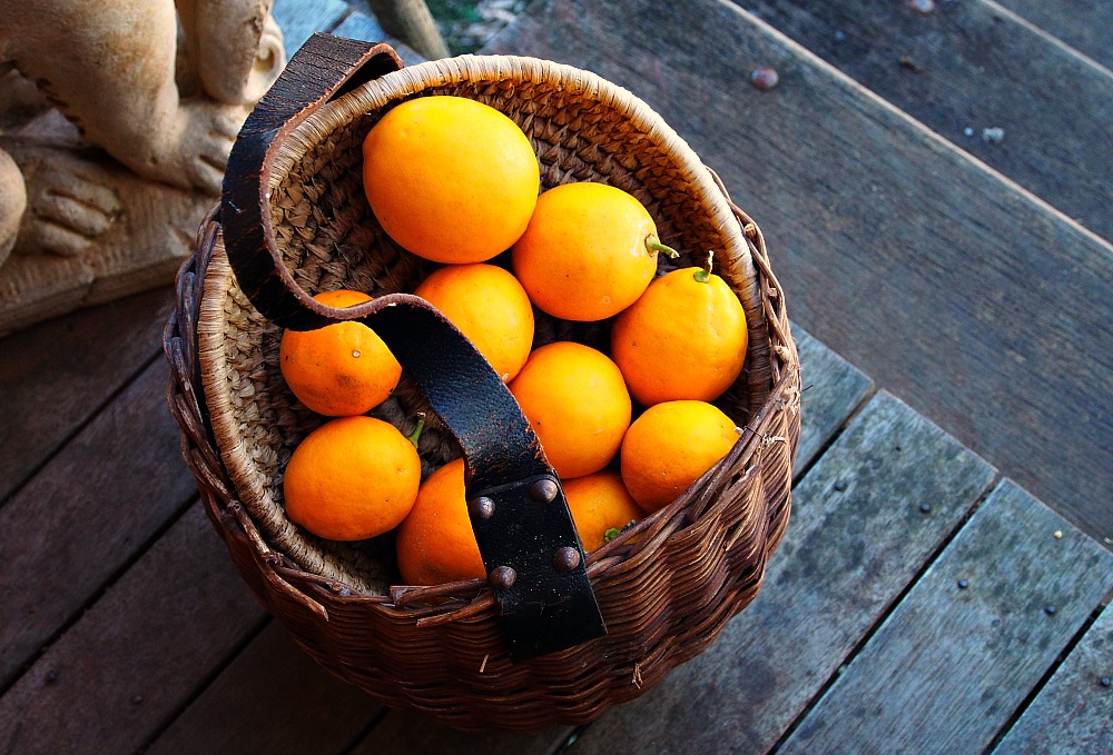 basket of lemons