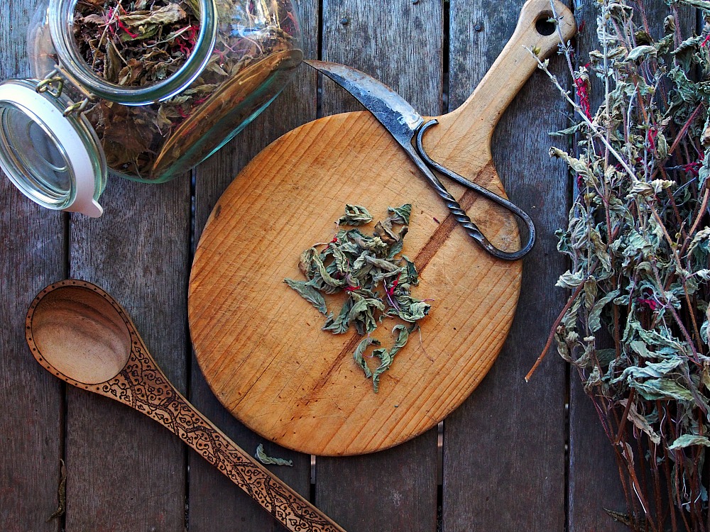 drying herbs for tea