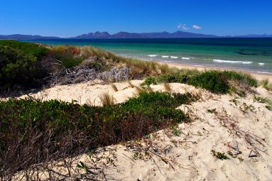 white sand beach Tasmania