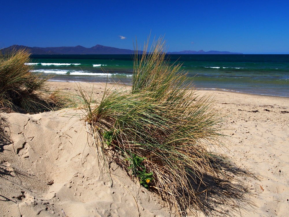 sand dunes Tasmania