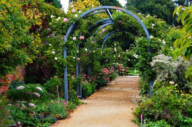 Royal Tasmanian Botanical Gardens