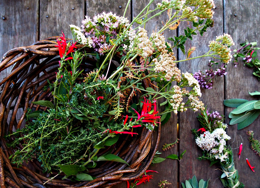 herbs for smudge sticks